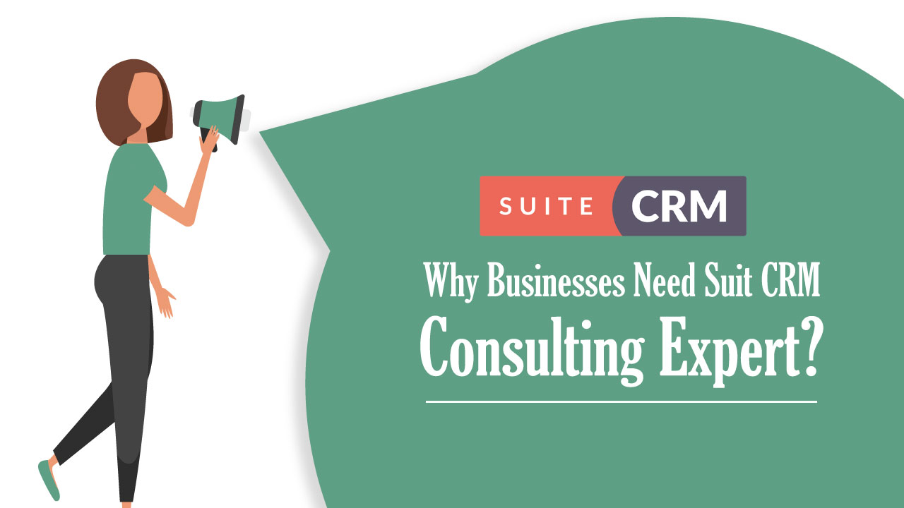 business crm consulting