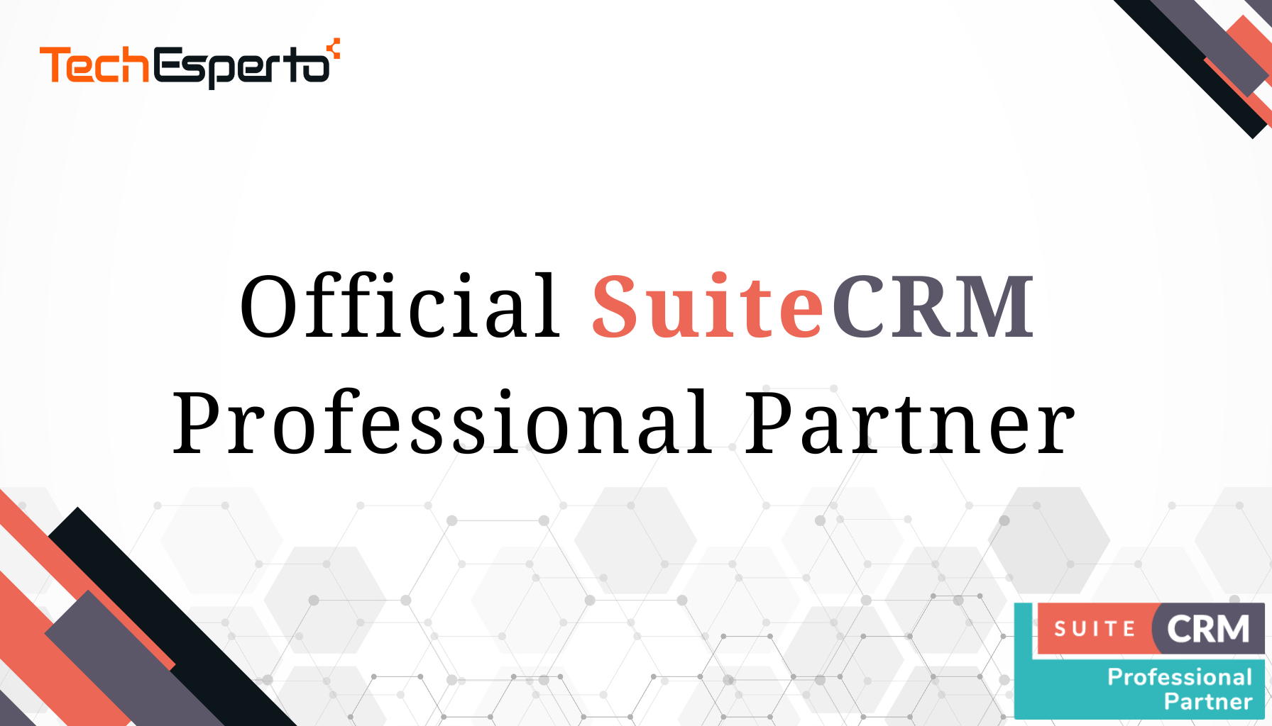 Official SuiteCRM Professional Partner Globally
